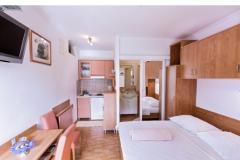 Ferienwohnungen Mimoza Apartment 2 – AP2 rozi foto 1