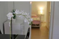 Appartements Karin Apartment 3 – A-3 foto 4