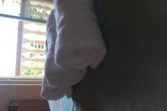 Appartements Meri Apartment 2 – A 6+1 foto 5