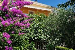 Appartement Mara Apartment 1 foto 1