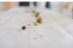 Ferienwohnungen Josip Jaz Apartment 1 foto 4