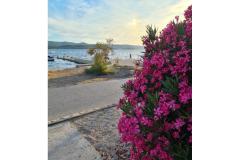 Apartment Mare - prvi red uz more Apartment 1 – Mare foto 3