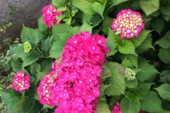 Appartements Jurov Apartment 1 – Studio foto 2