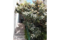 Appartements A &amp; N Bekavac . Apartment 4 – A2+2 foto 5