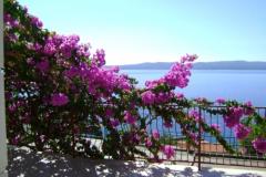 Appartements Mark Apartment 1 – Ap1 foto 4