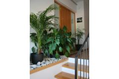 Appartements Katarina Apartment 1 – Ap1 foto 1