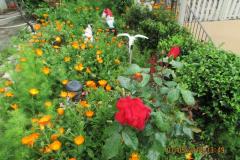 Appartements  Anka Apartment 1 foto 3