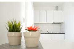 Sea Stars Ferienwohnungen Apartment 3 – SEA STAR 3 foto 3