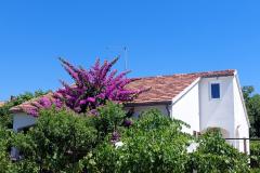 Ferienhaus - Apartment Milka Apartment 1 – Kuća foto 2