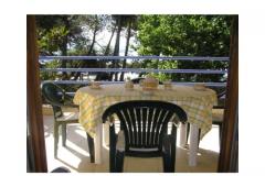 Appartements PARK Apartment 3 – F1-F2 foto 4