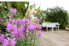 Ferienwohnungen M Apartment 1 – A4 foto 4