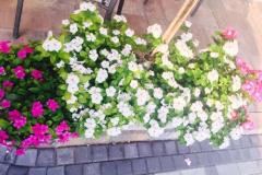 Appartements Vesna Apartment 3 – A3 foto 4