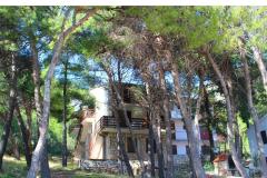 Ferienwohnungen Floris Ivan Dolac Apartment 3 – 9 guests foto 4