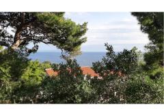 Tigrich apartmani Apartment 4 – Weiller foto 2