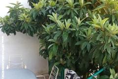 Appartements Duboka Apartment 1 – A2 foto 4