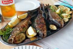 Pension Kozina Zimmer 2 – Tr.soba foto 5