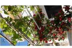 Appartements Kinkela Apartment 3 – studio foto 1