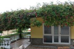 Appartements Milica Apartment 1 – APARTMAN foto 4
