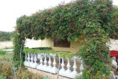 Appartements Milica Apartment 1 – APARTMAN foto 5