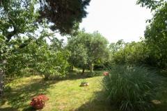 Sea Dream Apartment 1 – Sea Dream foto 3