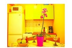 Appartements Diana Apartment 4 – ap. 4 foto 1