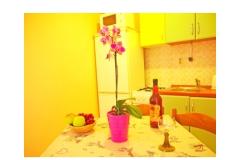 Appartements Diana Apartment 4 – ap. 4 foto 2