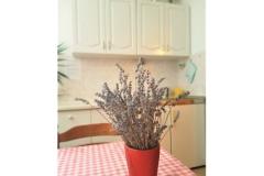 Appartements Dragica Begović Apartment 2 – STUDIO-AP2 foto 1