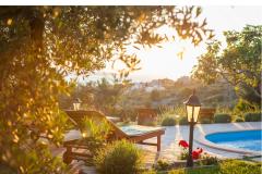 Rustic Oliveto Apartment 1 – Rustic foto 2