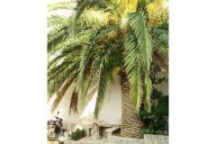 Silva apartments Apartment 2 foto 4