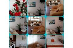 Villa Appartements Sumić Apartment 1 – GREEN OASE foto 4