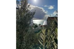 Appartements Renata Apartment 1 – Apartman-1 foto 3