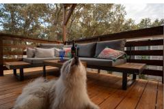 Haus Sookie Apartment 1 – H. Sookie foto 2