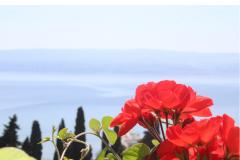 Appartements Rubić Apartment 3 – Apartman 4 foto 3