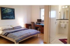 Villa and Bungalow Jovic Apartment 1 – Luxery sui foto 4