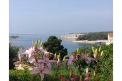 Appartements Zeljka Apartment 1 – A foto 4