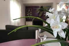 Ferienwohnungen Luna Apartment 4 – 7 foto 1