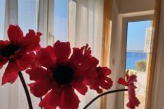 Stargo Ferienwohnungen Apartment 2 – Blue foto 2