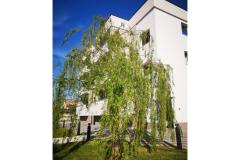 Appartements Dalmacija Apartment 2 – apartman 2 foto 1