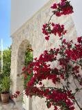 Appartements Ksenija Apartment 4 – LEMONE foto 4