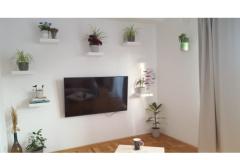 Rasin Ferienwohnungen Apartment 1 – N5 foto 2