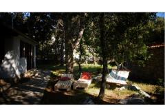 Pine Villa Apartment 1 – Pine villa foto 2