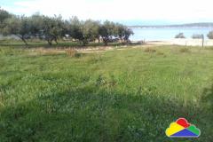 Holiday homes Twins by the sea Zimmer 3 – + tent foto 4