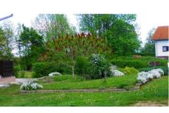 Blazenka Hodak Apartment 2 – APP 2 foto 4