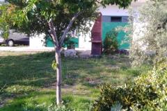 Apartment Sumić Apartment 1 – Vespa foto 2