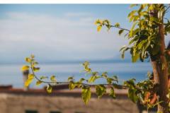 Appartements Fluctus TA Apartment 3 – A2+2 P foto 2