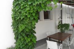 Ferienwohnungen Car-Bruna Apartment 3 – Apartman 5 foto 3