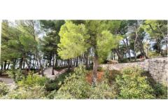 Appartements Lavica Apartment 3 – E3 foto 1