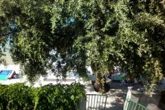 Appartements 10 metara od mora Apartment 3 – Ap.3 foto 1