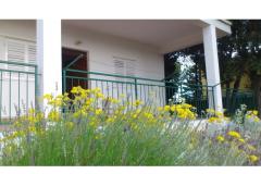 Appartements vila Diana Apartment 1 – apartman M foto 2