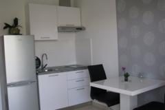 Ferienwohnungen 255 Apartment 2 – STUDIO foto 3